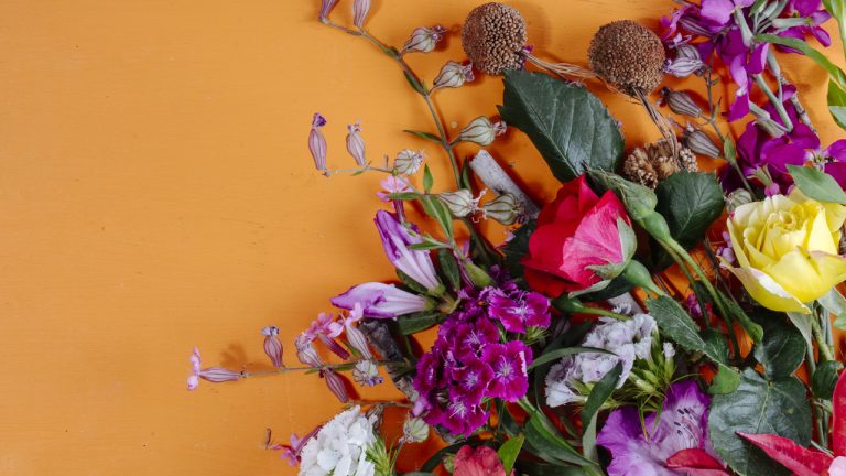 flori care infloresc toata vara