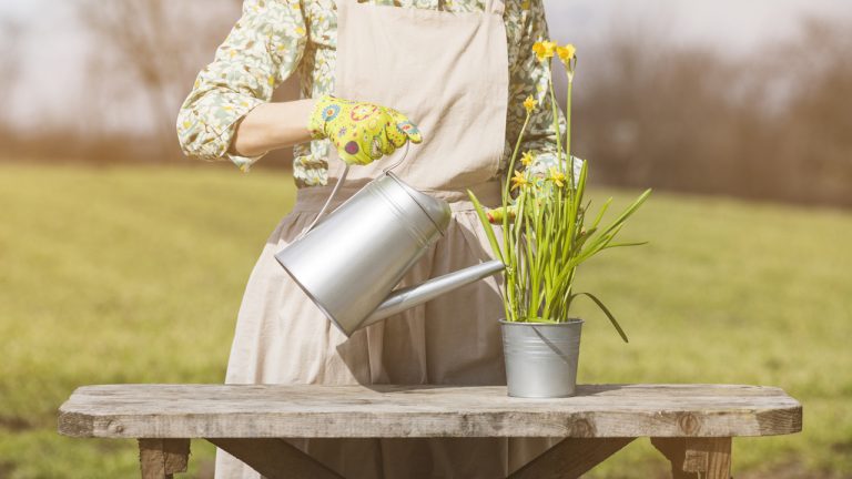 udarea florilor vara