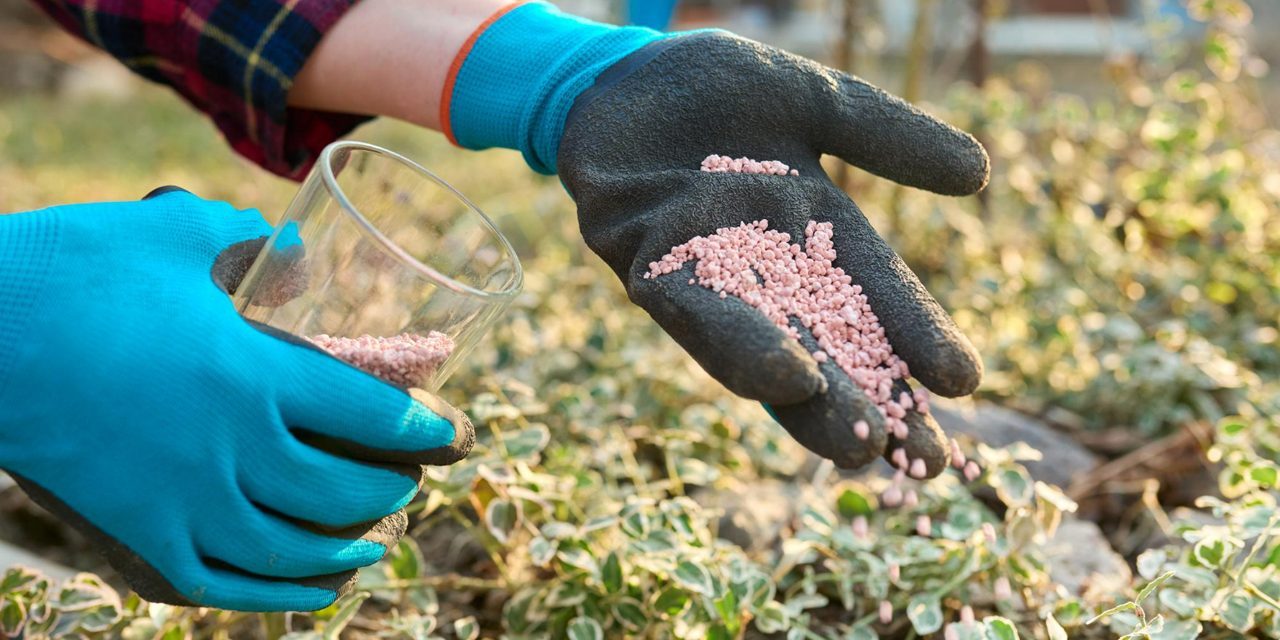 Fertilizanți profesionali pentru horticultură ornamentală